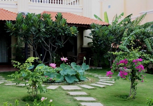 Sea Lion Beach Resort & Spa 2 4*