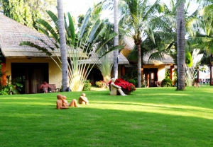 Terracotta Resort & Spa 4*