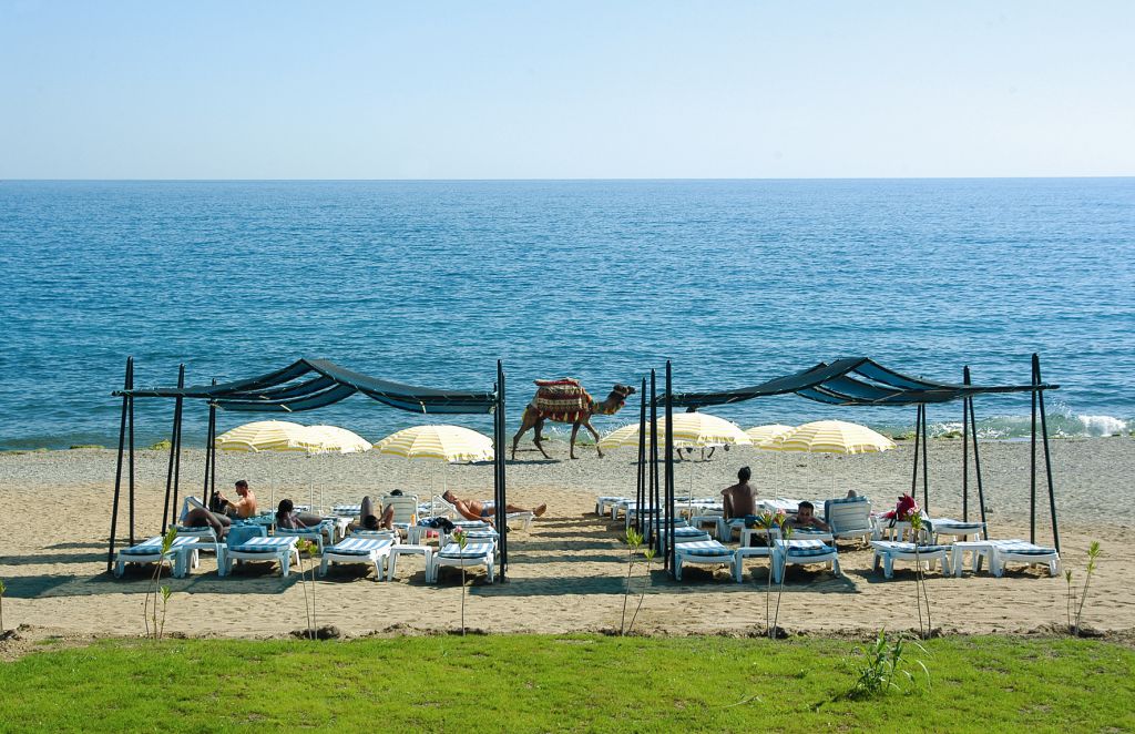 Vital Beach 3*